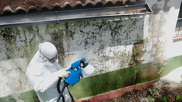 Trusted Bathroom Mold Removal service in Galesville, MD - Cheap Mold Removal